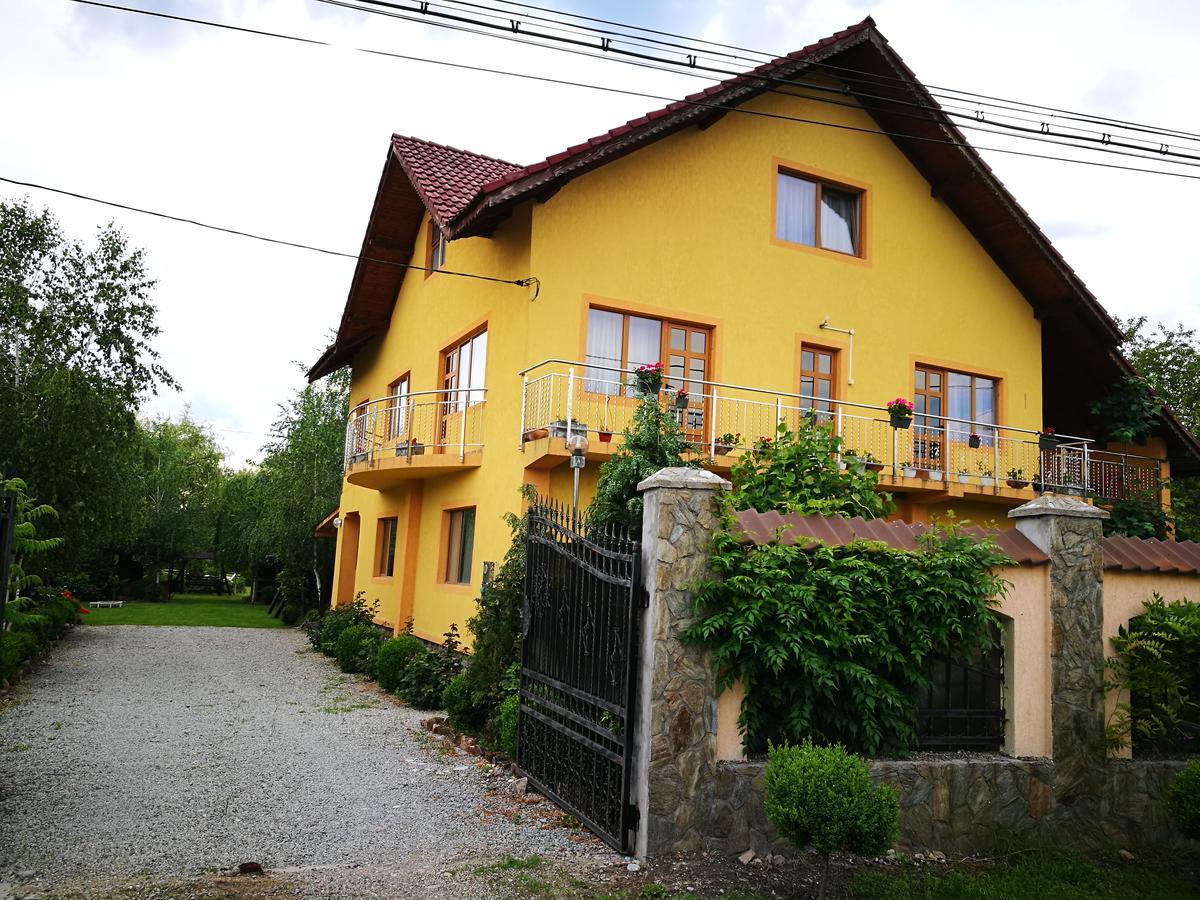 Pensiunea Ramona Carpinisu Exterior photo