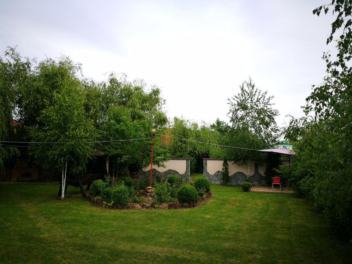 Pensiunea Ramona Carpinisu Exterior photo